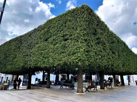Corso Vittorio Emanuelle - Alberobello