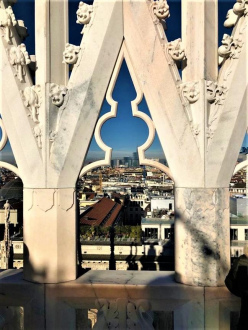 Katedra Piaza Duomo