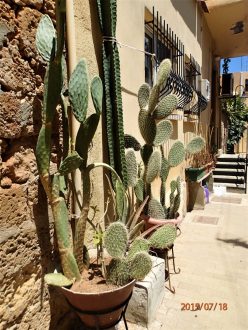 Famagusta