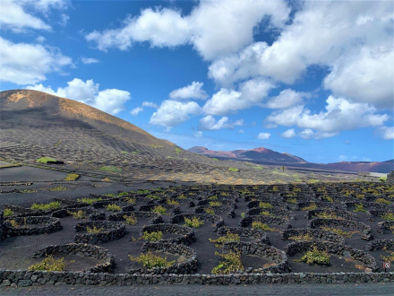 La Geria - Lanzarote
