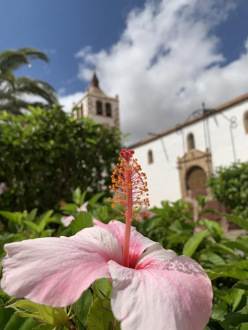 Betancuria
