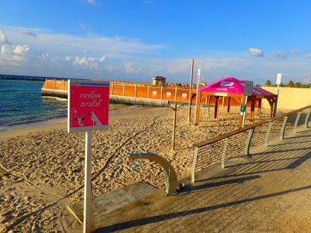 Plaża dla piesków i kotków - Tel Aviv
