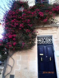 Mdina