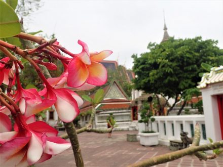Wat Pho