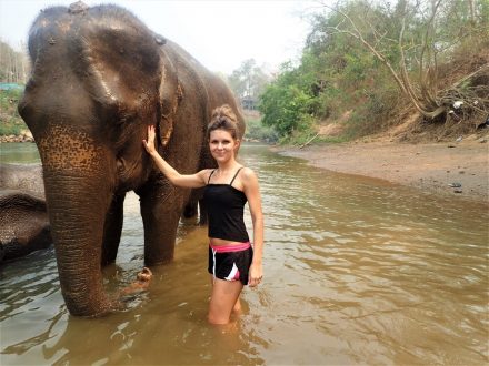 Elephant Heaven