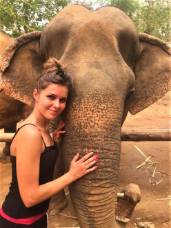 Elephant Heaven