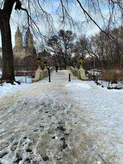 Central Park
