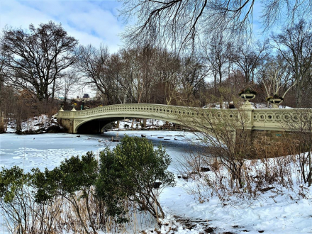 Central Park
