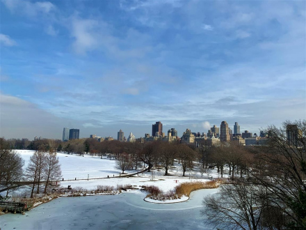 Central Park