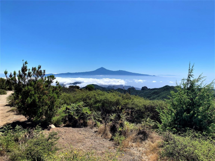 Widok na Teide - La Gomera