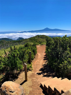 Alto de Garajonay  - La Gomera