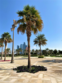Etihad Towers